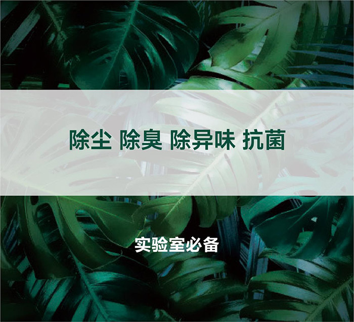 告別惡臭，守護呼吸健康，全面凈化動物實驗室空氣環境